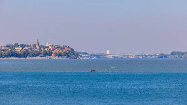 Zemun Kasabası ve Tuna Nehri üzerindeki köprü manzarası
