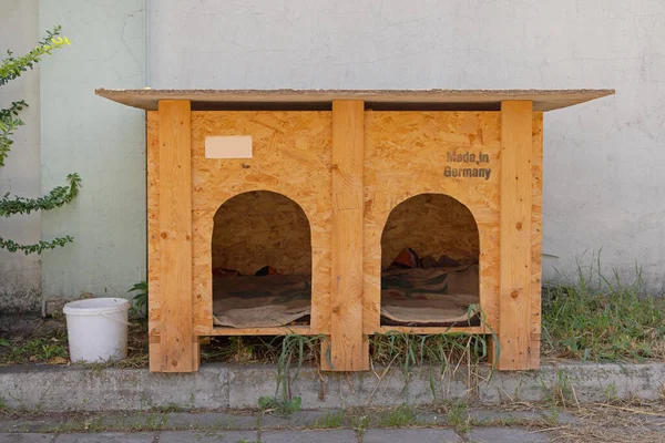 Dois Cães Casa Feita Alemanha Partir Madeira Reciclada — Fotografia de Stock