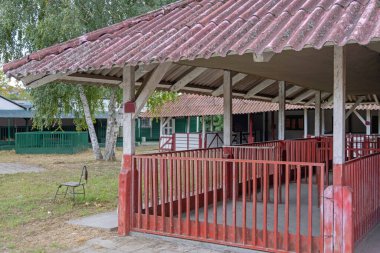 Boş Binalar Terk Edilmiş Çiftlik Hayvanlar Yok Terk Edilmiş Arazi