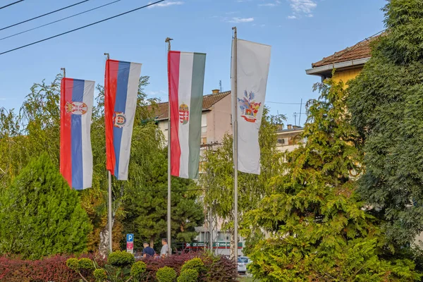 Temerin Σερβία Σεπτεμβρίου 2021 Σημαίες Της Σερβίας Της Βοϊβοντίνα Της — Φωτογραφία Αρχείου