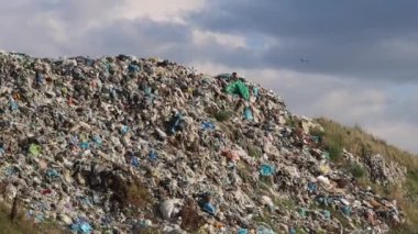 Çöp tenekesinin tepesinde kuşlar uçuyor.