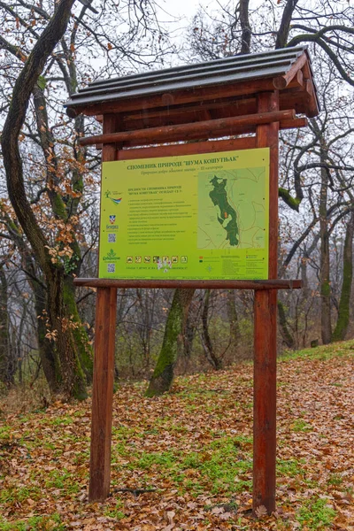 Belgrad Sırbistan Aralık 2021 Harita Bilgileri Kosutnjak Şehir Parkı Ormanını — Stok fotoğraf