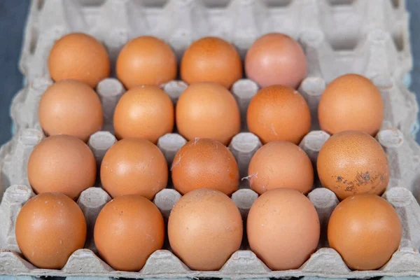 Яйца Натуральных Органических Продуктов Подносе Фермы — стоковое фото
