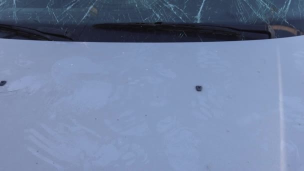 Ødelagt Forrude Revnet Glas Forrude Bil Skader – Stock-video