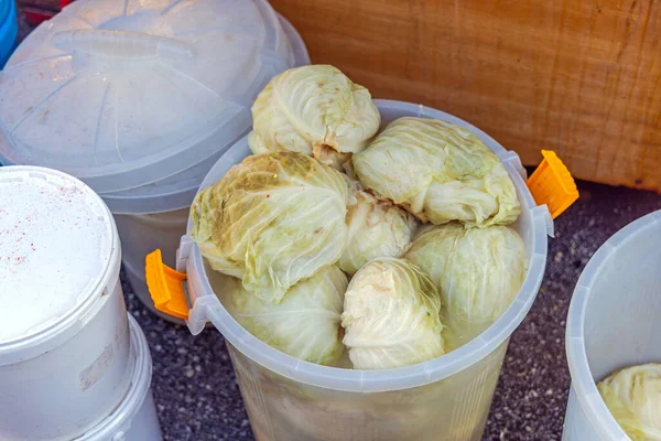 Whole Sour Cabbage Fermented Sauerkraut Buckets — Fotografia de Stock