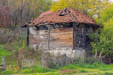 Terk Edilmiş Ahşap Kulübede Çatı Zona Mağarası