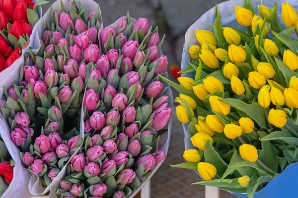 オランダの新鮮な紫と黄色のチューリップの花の花束 — ストック写真