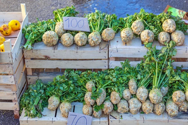 Σέλινο Root Celeriac Λαχανικά Στην Αγορά Των Αγροτών — Φωτογραφία Αρχείου