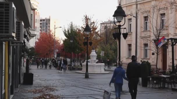 Belgrad Serbien Oktober 2021 Rote Bäume Kopfsteinpflaster Straße Herbstfarben Stadtzentrum — Stockvideo