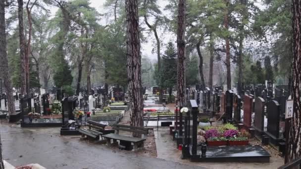 Belgrado Serbia Diciembre 2021 Cementerio Pacífico Topsider Bosque Kosutnjak Día — Vídeos de Stock