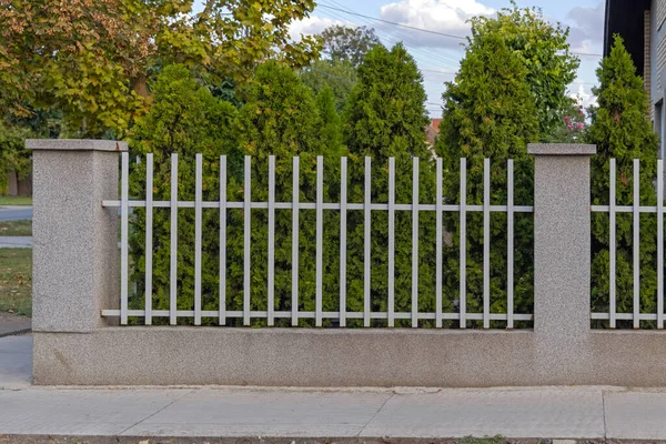 Witte Metalen Hek Natuurlijke Heg Planten Privacy — Stockfoto