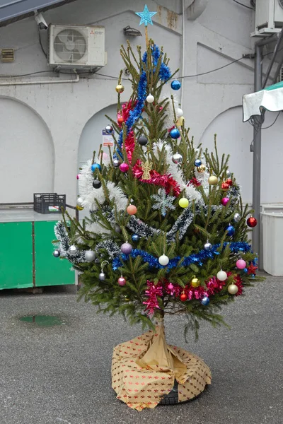 Belgrade, Serbia - December 26, 2021: Small Natural Christmas Tree Decorated With Baubles Ornaments Outside.