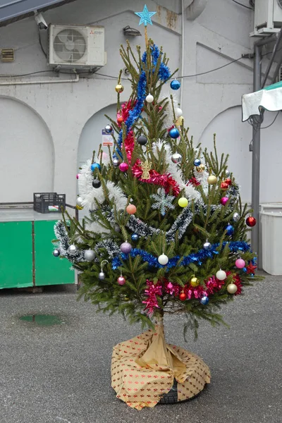 Belgrade Serbia December 2021 Small Natural Christmas Tree Decorated Baubles — стокове фото