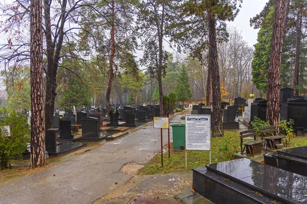 Belgrade Serbia December 2021 Calm Cemetery Topcider Kosutnjak Forest Rainy — стоковое фото