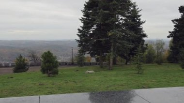 Avala Dağı 'nda Çam Ağaçları Yeşil Parkı Sonbahar Panoraması