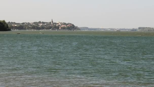 Utsikt Över Zemun Stad Och Bro Över Floden Donau — Stockvideo