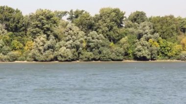 Güneşli Gün Rüzgarında Tuna Nehri Mavi Su Yüzeyi
