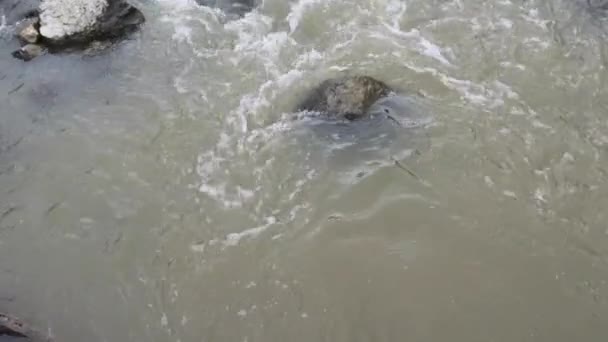 Pedestrian Suspension Bridge Mountain River Stream Water Flow — Stock Video