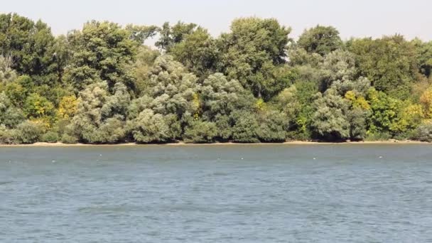 Rivière Danube Eau Bleue Surface Soleil Vent — Video