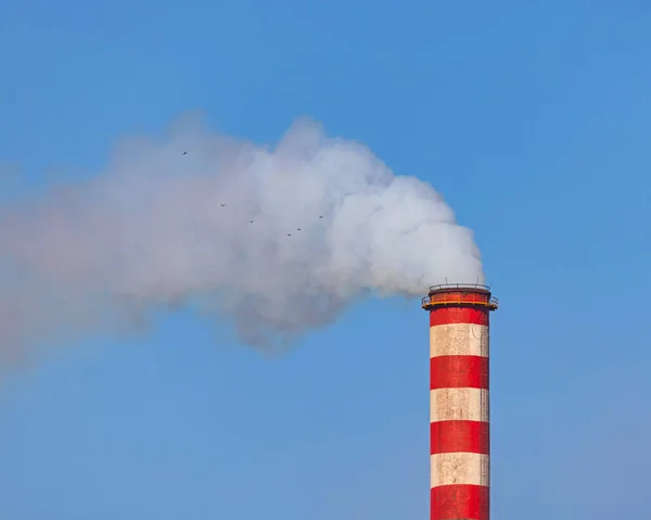Steel Mill Industrial Chimney Air Pollution Problems — Stock Photo, Image