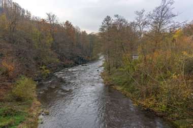 Batı Sırbistan 'da Küçük Nehir Akıntısı Kamenica Sonbaharda