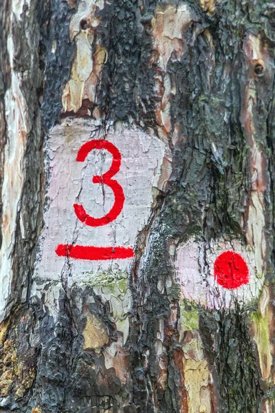 Número Tres Con Punto Rojo Árbol Bosque —  Fotos de Stock