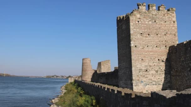 セルビア スメデレヴォ 2021年10月31日 ドナウ川岸の中世の要塞の壁秋の日 — ストック動画