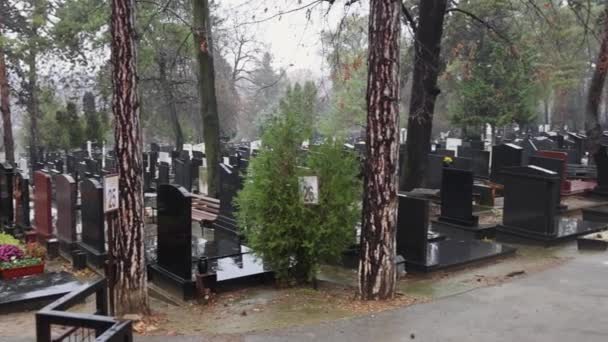 Belgrad Serbien Dezember 2021 Friedhofsfriedhof Topcider Kosutnjak Wald Regnerischen Herbsttag — Stockvideo