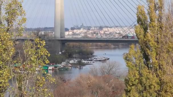 Belgrad Serbien November 2021 Moderne Hängeseilbrücke Ada Pylon Über Die — Stockvideo