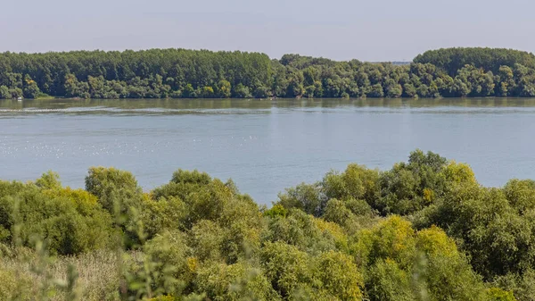 Stora Donau Nära Vinca Naturlandskap — Stockfoto