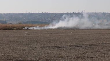 Kirli Sakallı Mahsuller Tarım Alanları Yasadışı Çevre Hasarı