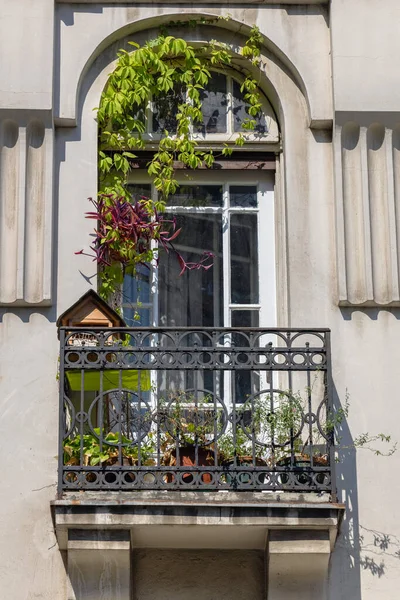 Arco Porta Balcone Terrazza Con Recinzione Ferro Birdhouse — Foto Stock