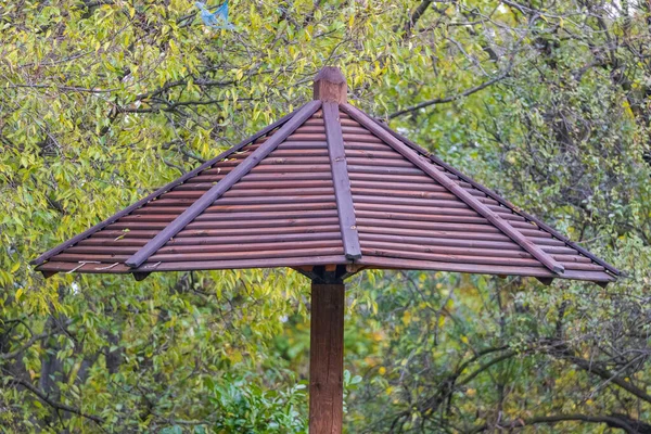 Velký Dřevěný Slunečník Struktura Zeleném Parku — Stock fotografie