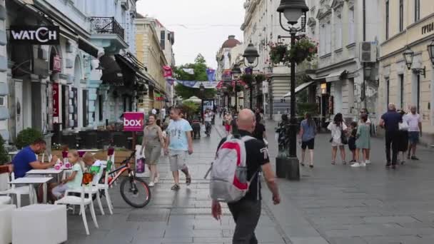 Belgrade Serbia August 2021 People Walking Knez Mihailova Street Pedestrian — Stock Video