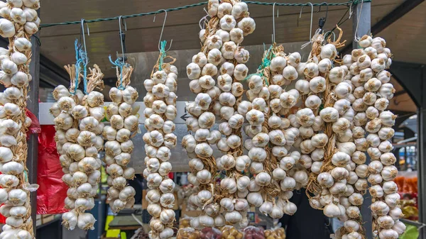 Getrocknete Knoblauchzwiebeln Hängen Bauernmarkt — Stockfoto