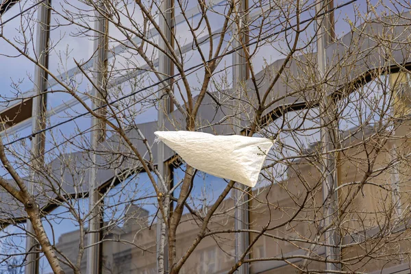 Saco Plástico Ninhada Poluição Árvores Cidade — Fotografia de Stock