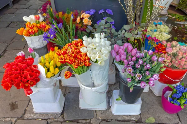 Μπουκέτα Από Πολύχρωμες Τουλίπες Ολλανδία Φρέσκα Φυσικά Λουλούδια — Φωτογραφία Αρχείου