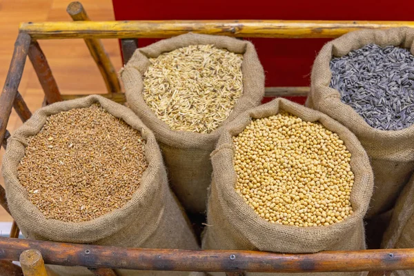 Bohnen Körner Saatgut Landwirtschaft Ernte Säcken — Stockfoto