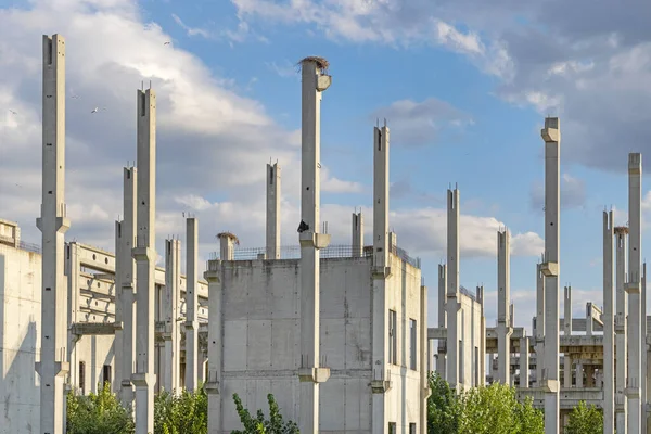 Elhagyott Megerősített Beton Nagy Építőipari Csontváz — Stock Fotó
