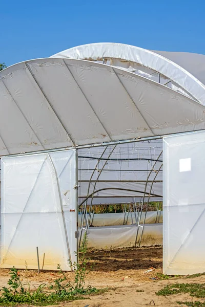 Aperto Poli Tunnel Porta Ortaggi Agricoltura — Foto Stock