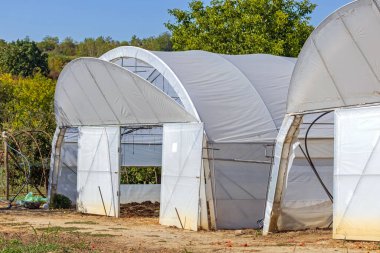 Poly Tünellerinde Açık Kapı Sebze Tarım Tarım
