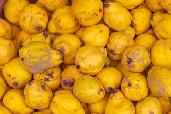Duża Ilość Organicznych Żółtych Owoców Pigwy — Zdjęcie stockowe