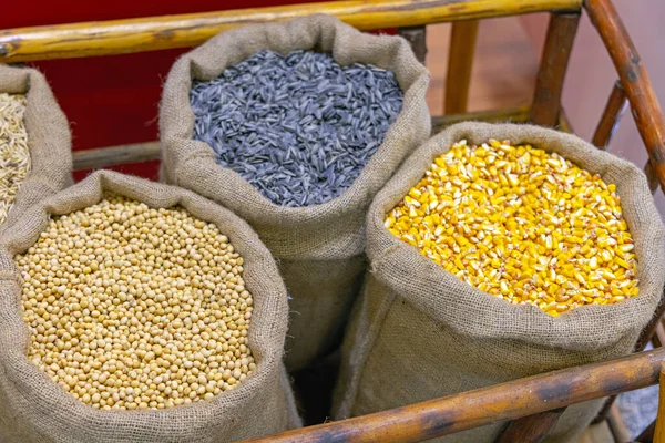 Grãos Feijão Sementes Agricultura Colheita Sacos — Fotografia de Stock