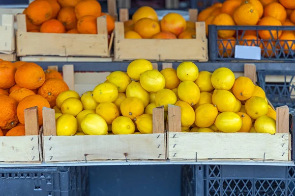 Citrom Citrus Fruits Termelés Termelői Piacon Standon — Stock Fotó