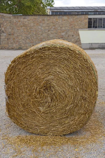 Eine Große Heuballensilage Auf Dem Bauernhof — Stockfoto