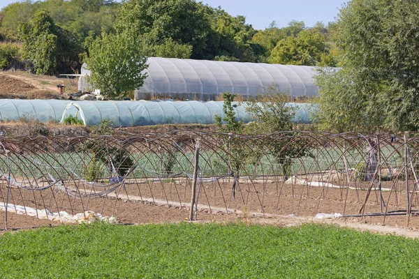 Poli Tunele Warzywa Owoce Rolnictwo Rolnictwo — Zdjęcie stockowe