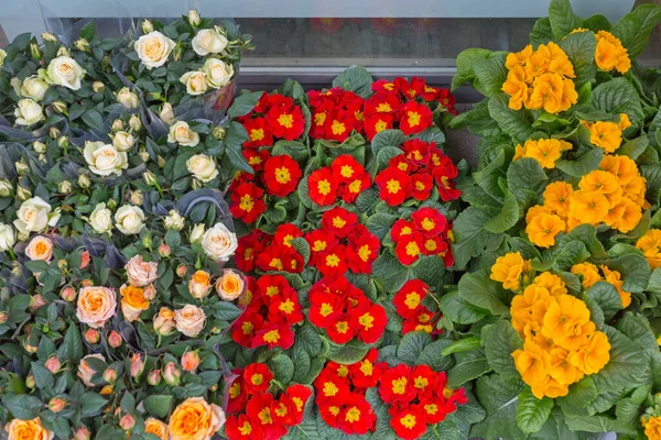 新鮮な花の植物ミックスドアステップ配信トップビュー — ストック写真