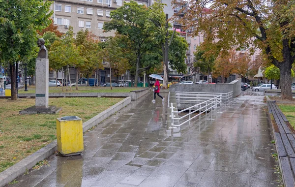 Belgrado Serbia Octubre 2021 Parque Conmemorativo Griego Venizelos Día Lluvia — Foto de Stock