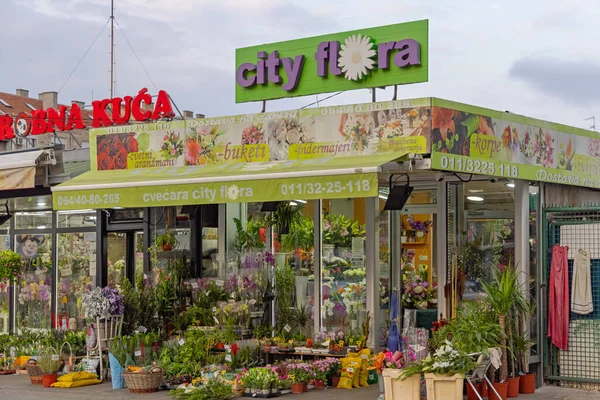 Belgrad Serbien September 2021 Florist Shop City Flora Bajloni Marknaden — Stockfoto