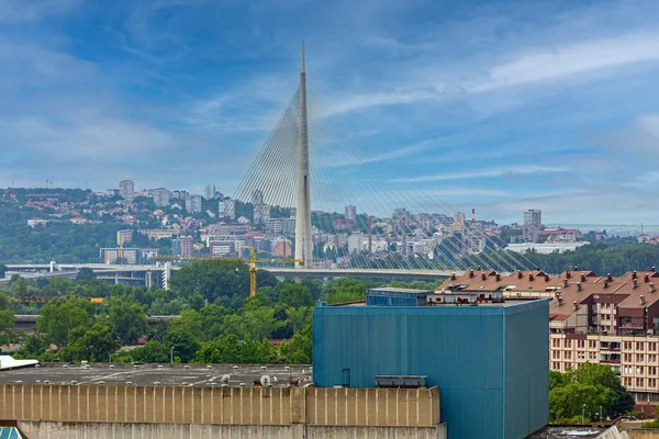 Ada Bridge Pylon Belgrade Serbia Cityscape Summer Day — стокове фото